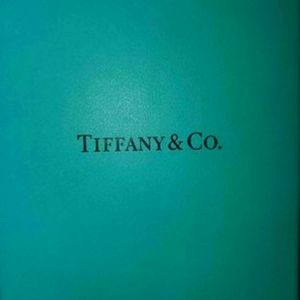 Tiffany heart tag toggle Bracelet